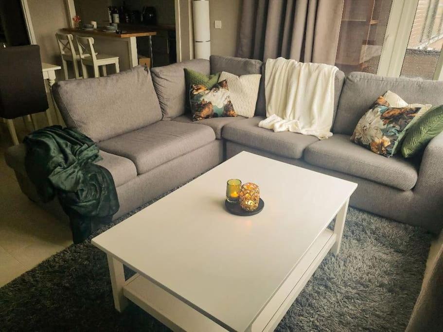 Gezellig Appartement In Brugge, Nabij Damme. المظهر الخارجي الصورة